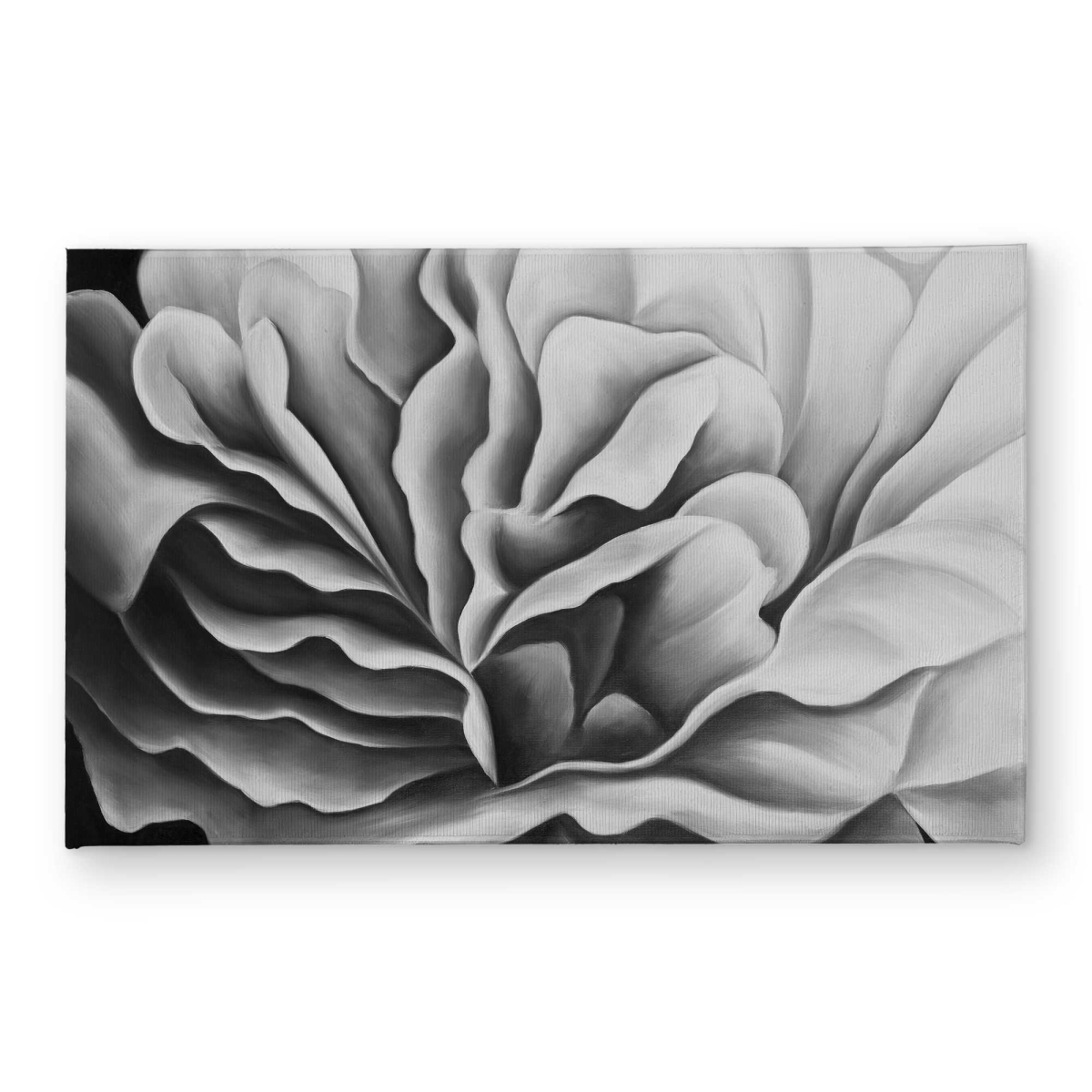 CODM21349QG9P7 21 x 34 in. Beautiful Black & White Flower Door Mat - Romantic Floral
