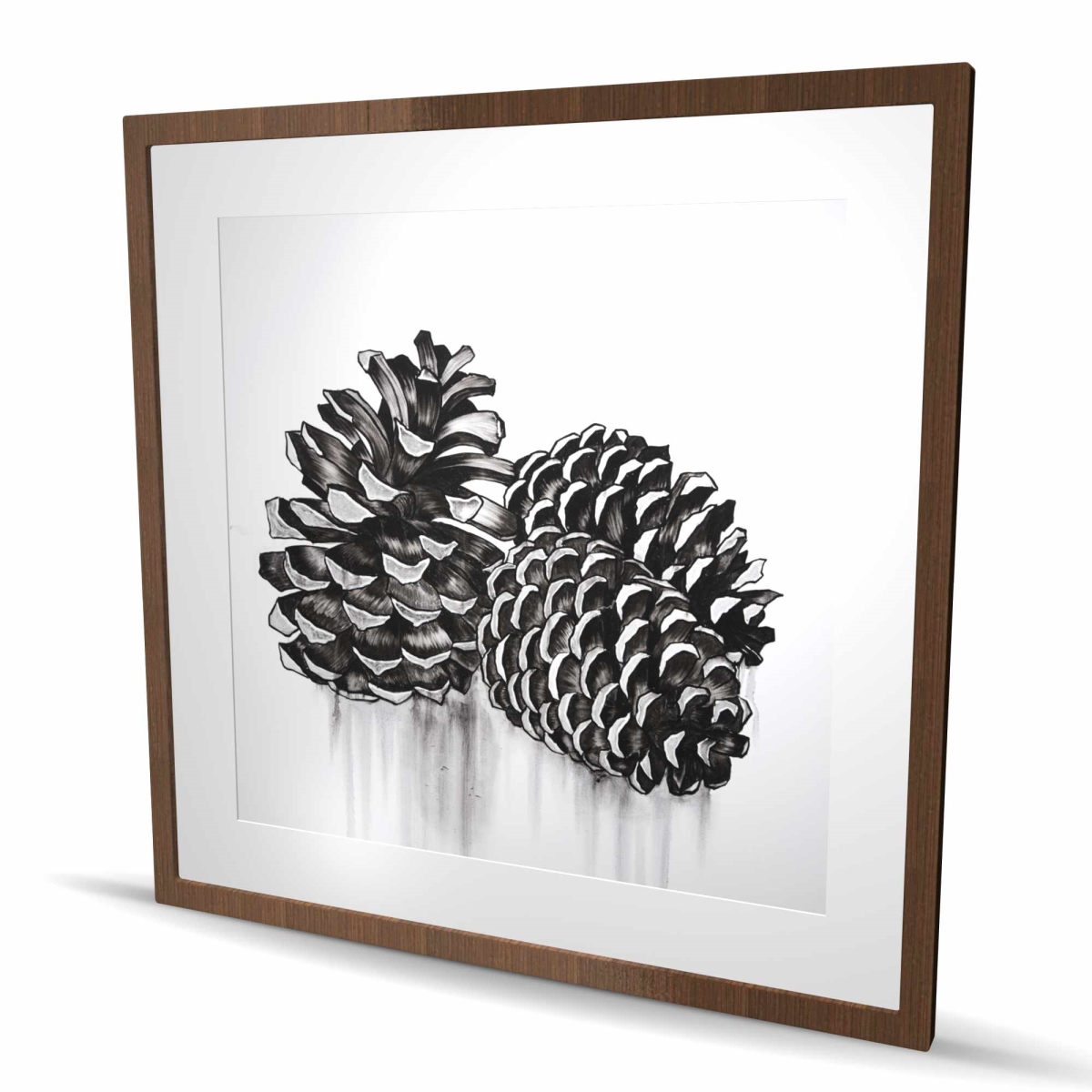 C1FM36360Q4M6U 36 x 36 in. Three Small Pine Cones - Botanical Holidays Framed Print