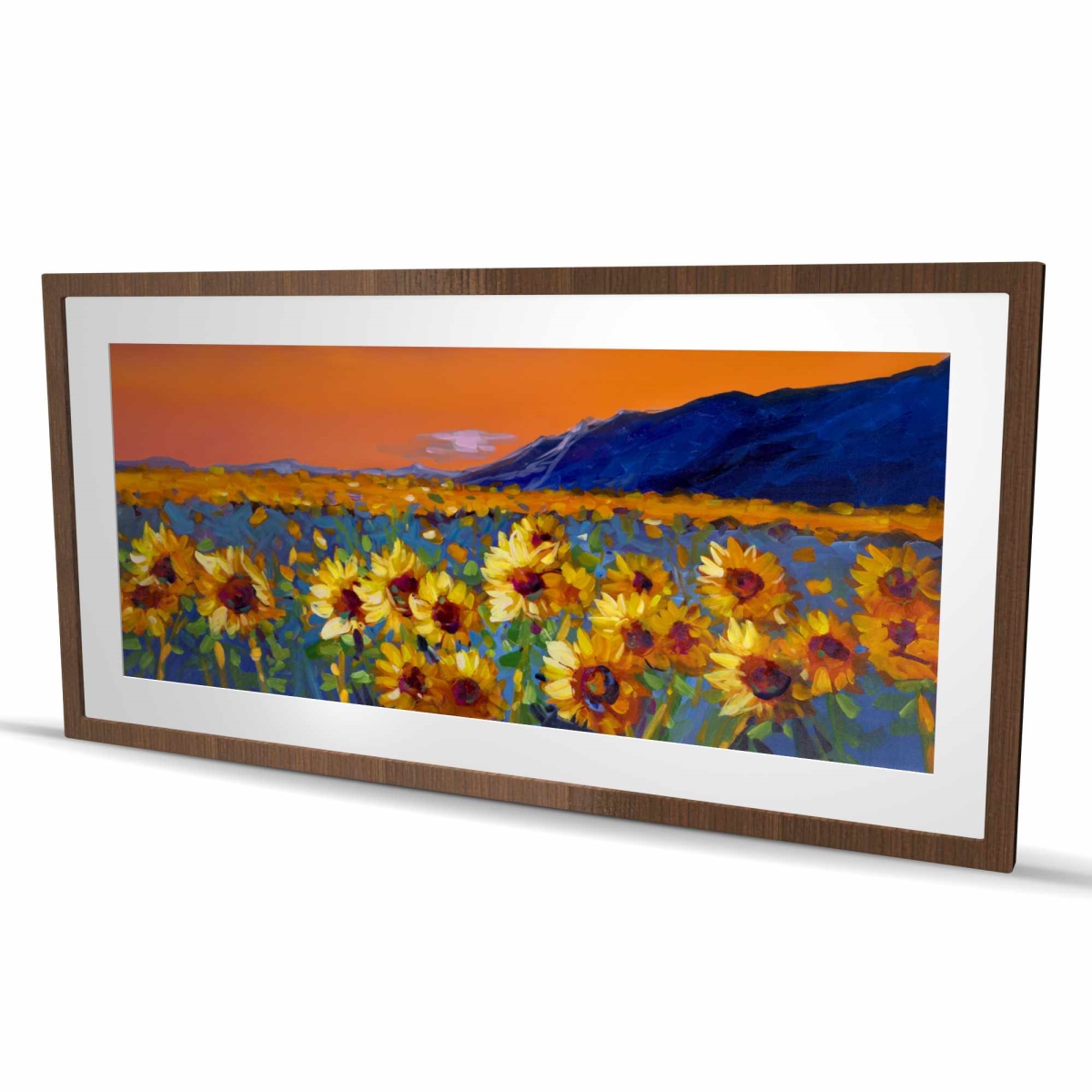 C1FM2448G8TMDF 24 x 48 in. Field of Sunflowers - Flowers Green Framed Matted Print