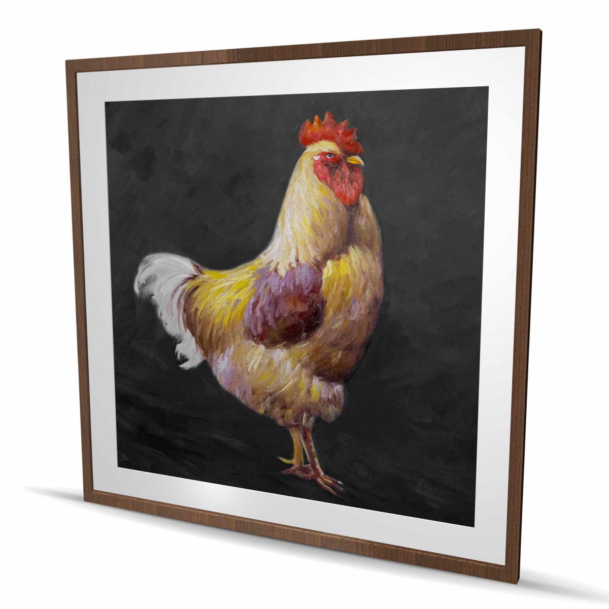 C1FM48489TZSPI 48 x 48 in. Beautiful Rooster 2 - Framed Matted Print for Kitchen Decor