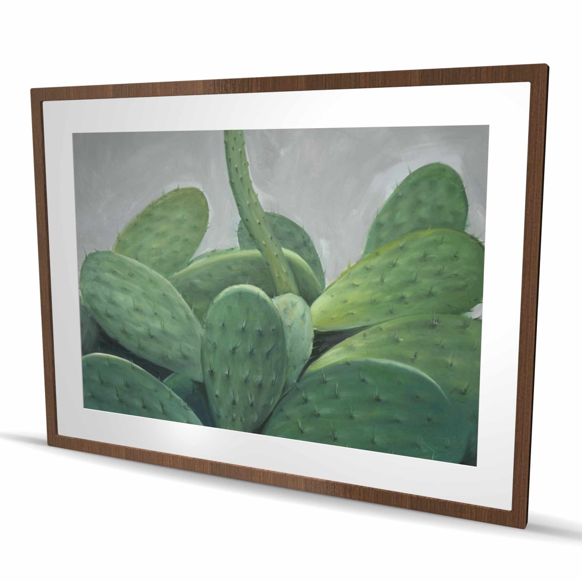 C1FM3648K0T9WW 36 x 48 in. Cactus Bundle - Framed Matted Botanical Print for Home Decor