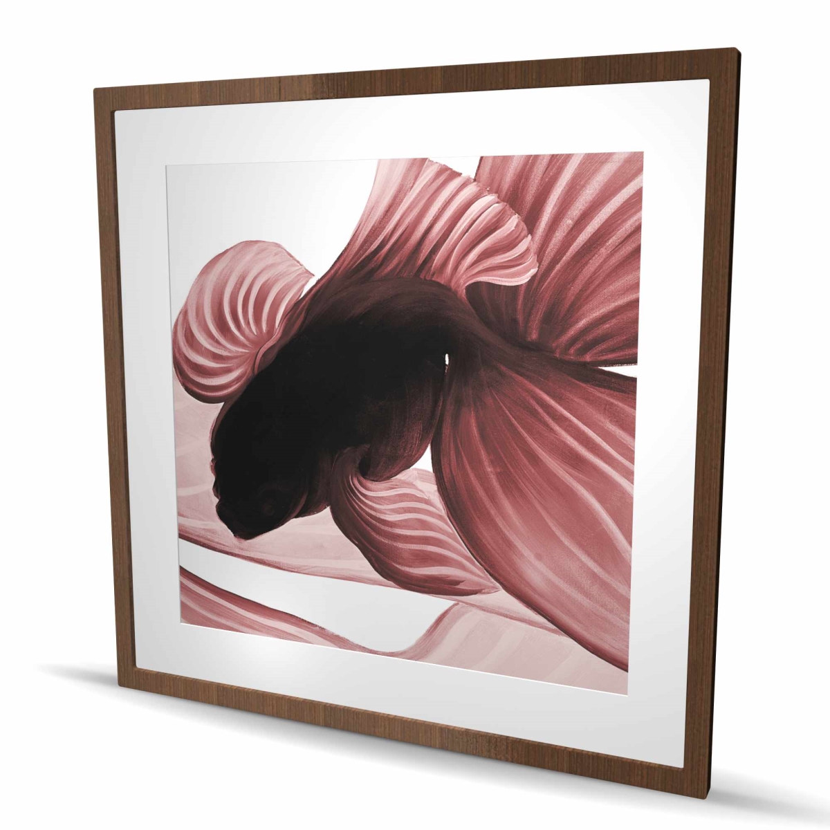 C1FM3636POCX3B 36 x 36 in. Two Red Betta - Framed Matted Print for Home Decor - Office