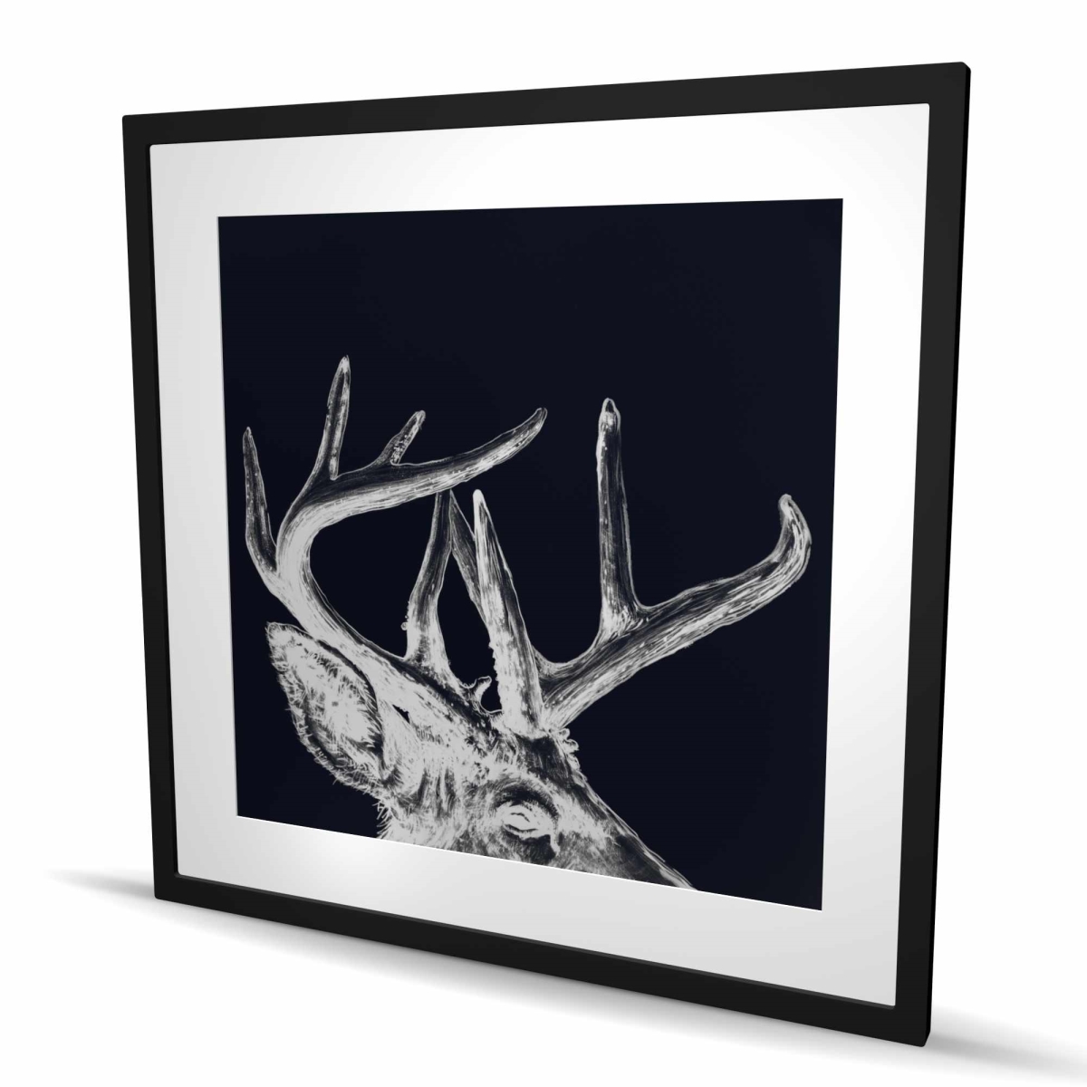 C1FM36367CRMZN 36 x 36 in. Blue Roe Deer Plume - Rustic Framed Print for Home Decor
