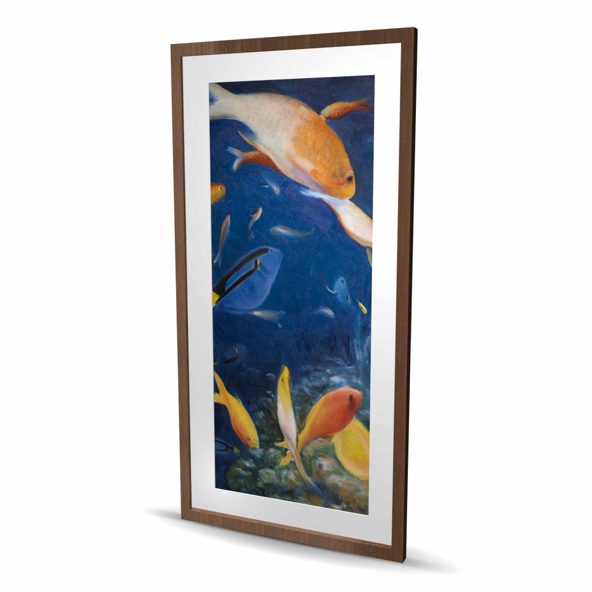 C1FM2448OZ1LXF 24 x 48 in. Colorful Fish Under the Sea - Exotic Framed Matted Print