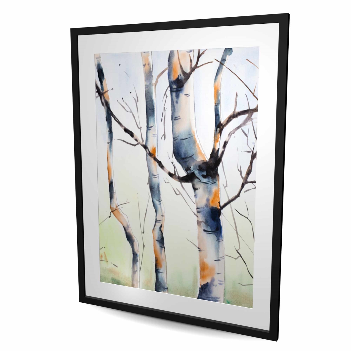 C1FM3648PHFMYP 36 x 48 in. Three Small Birch Trees - Framed Matted Print for Home Decor