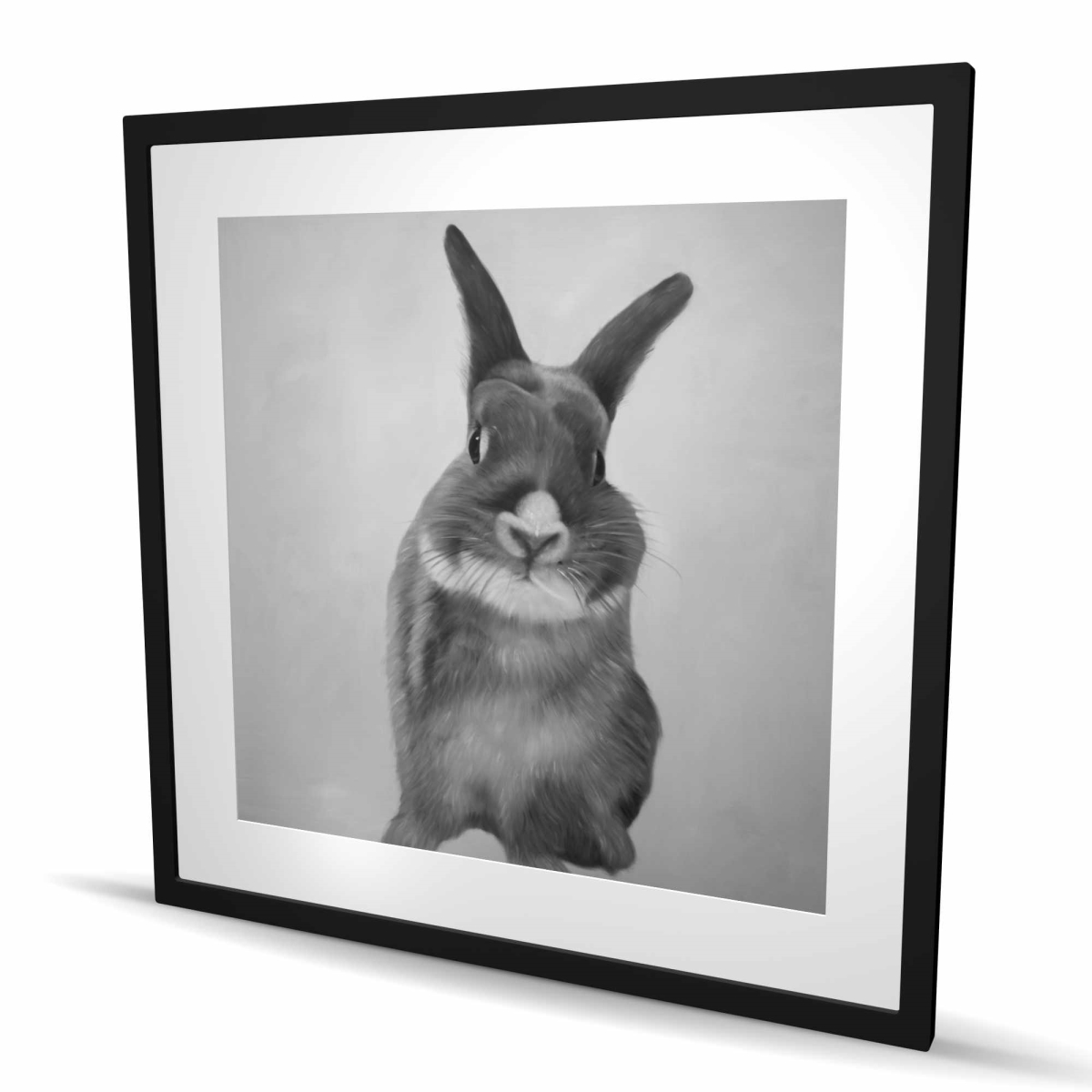 C1FM3636022RCQ 36 x 36 in. Funny Gray Rabbit - Pets White Framed Matted Print Decor