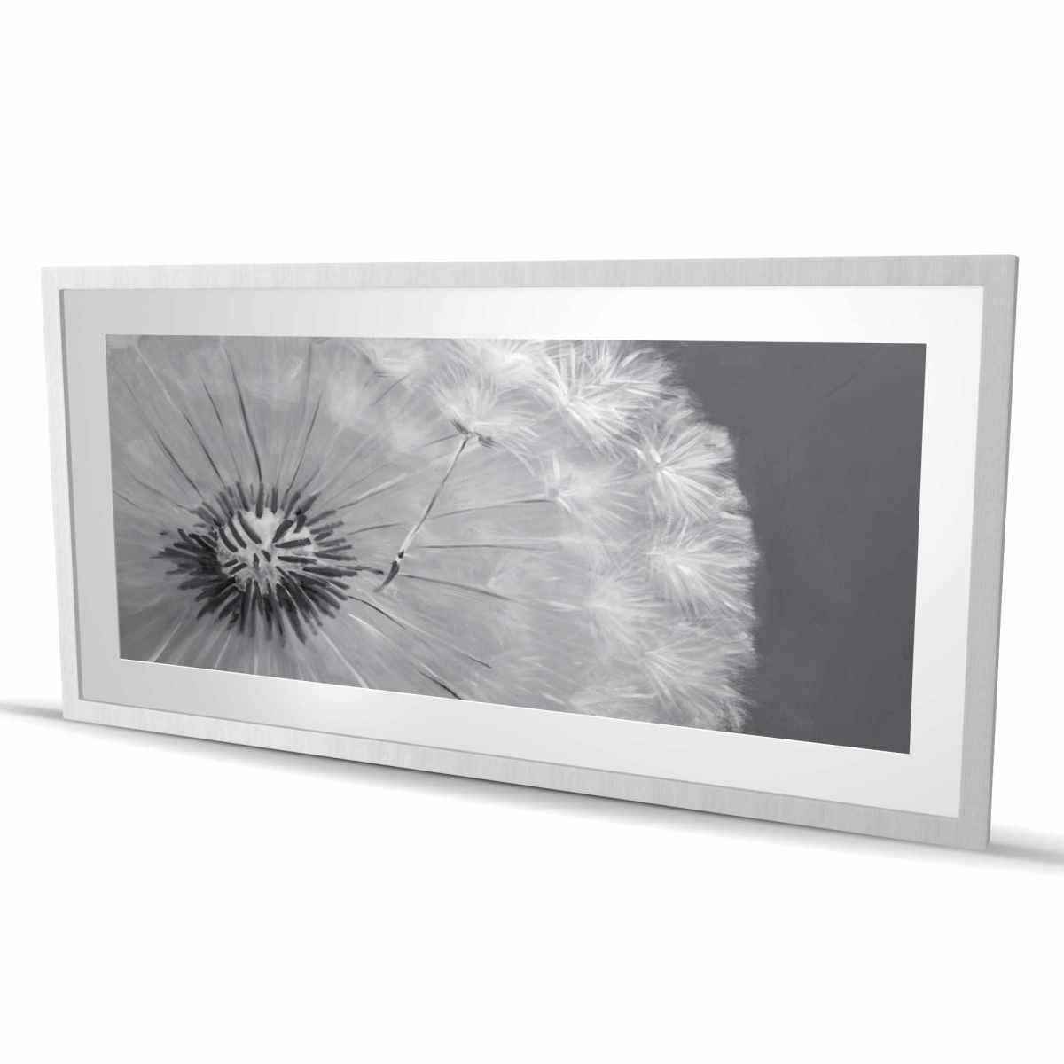 C1FM24488D15MT 24 x 48 in. Dandelion Puff Ball - White Hyperrealist Framed Print Decor
