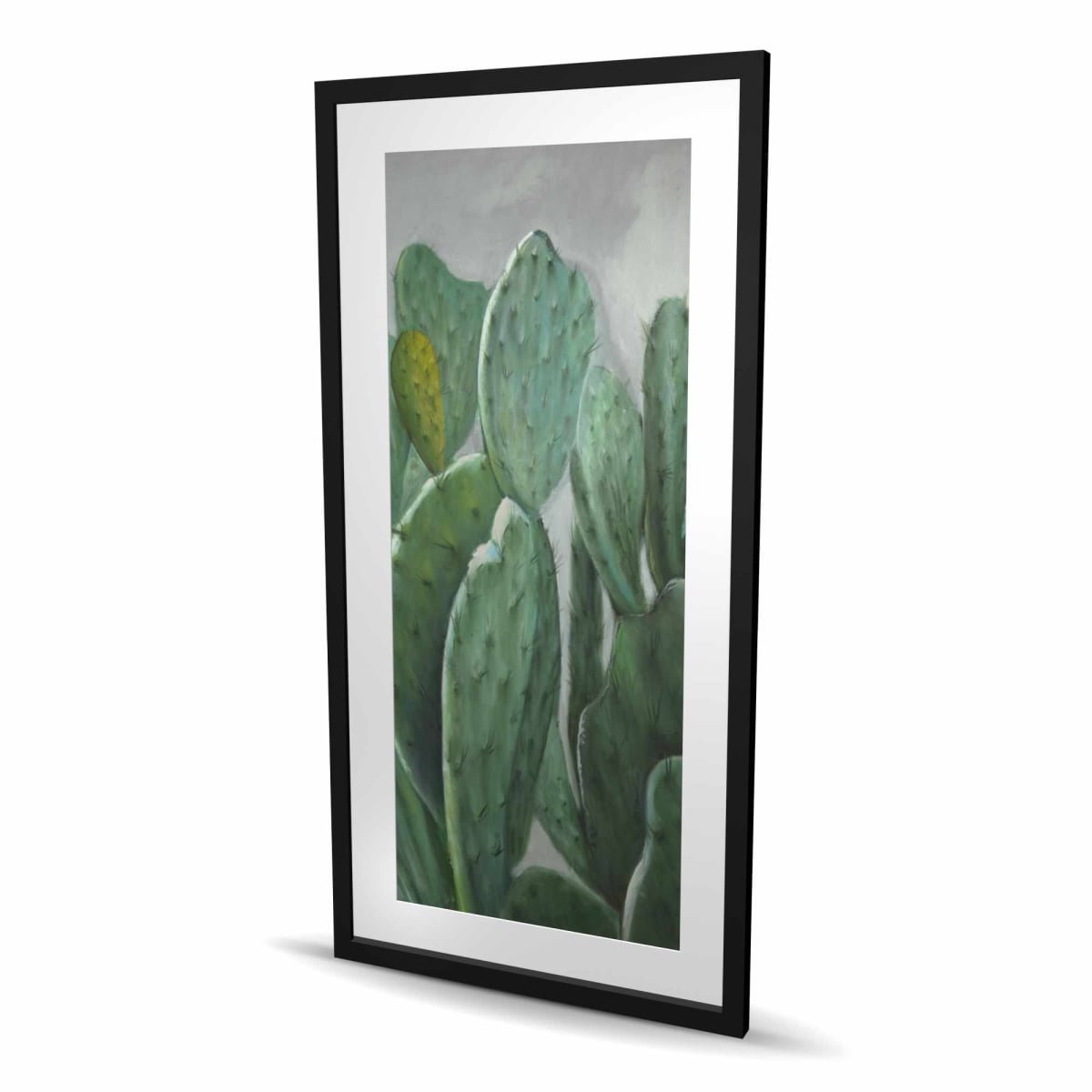 C1FM2448U6UJIF 24 x 48 in. Paddle Cactus - Hyperrealist Framed Matted Print for Decor
