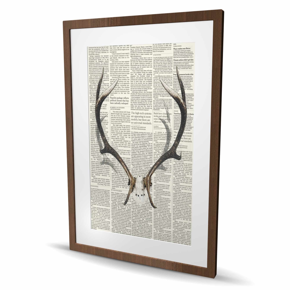 C1FM2436BK1ZWR 24 x 36 in. Deer Horns with  spaper - Rustic Framed Print for Decor