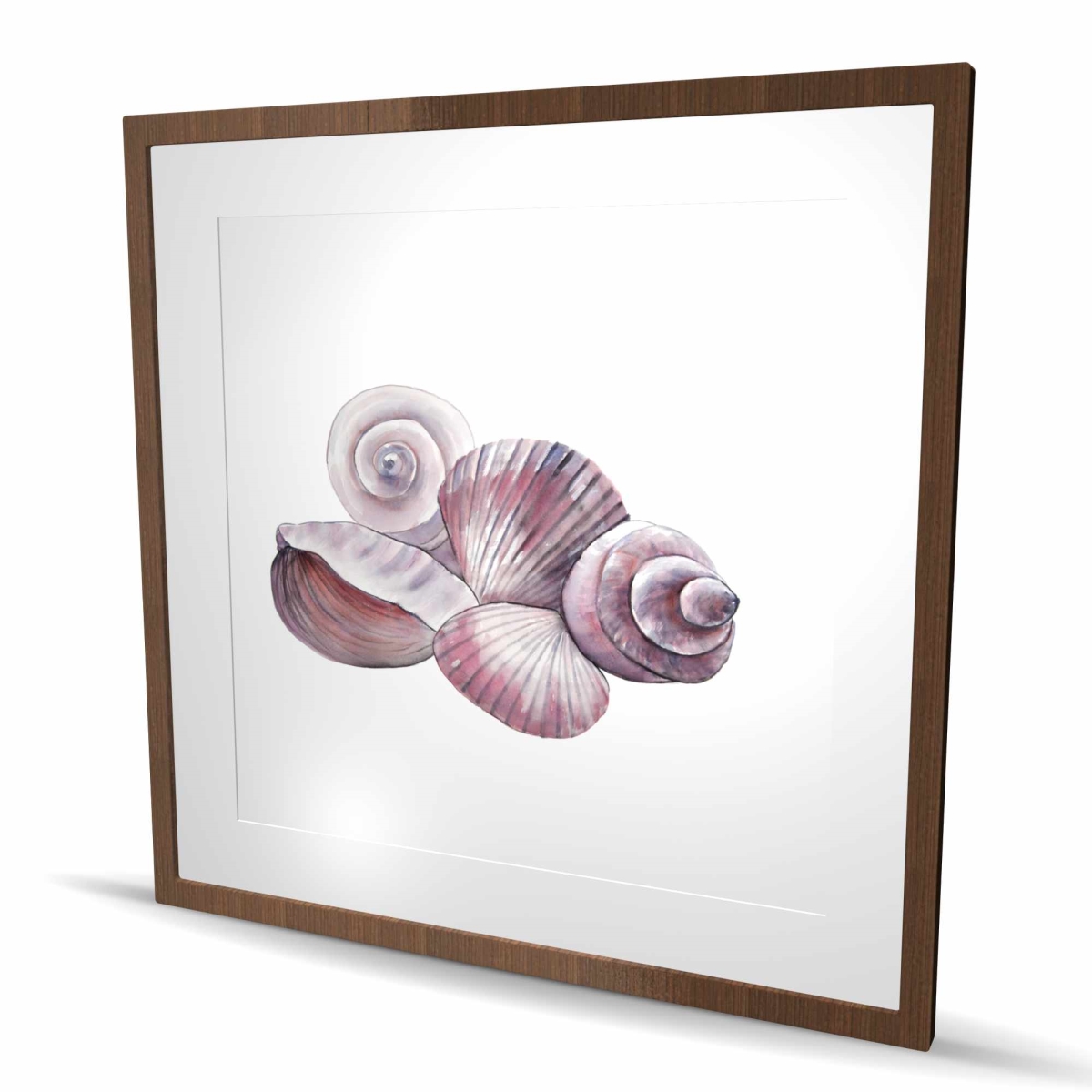 C1FM36367QJBXT 36 x 36 in. Seaside Shells - Framed Matted Print for Beach Home Decor