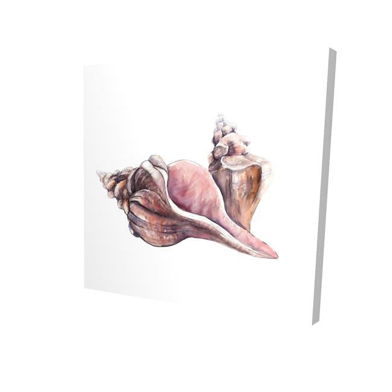 16 x 16 in. Horse Conch Seashells-Print on Canvas