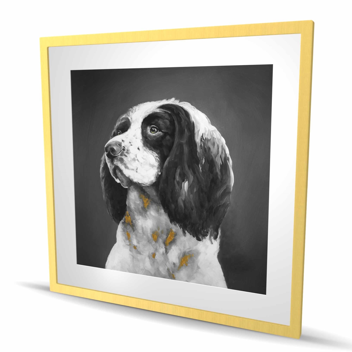 C1FM36364H2FOV 36 x 36 in. English Springer Spaniel Dog Print - Bedroom Gray Framed Art