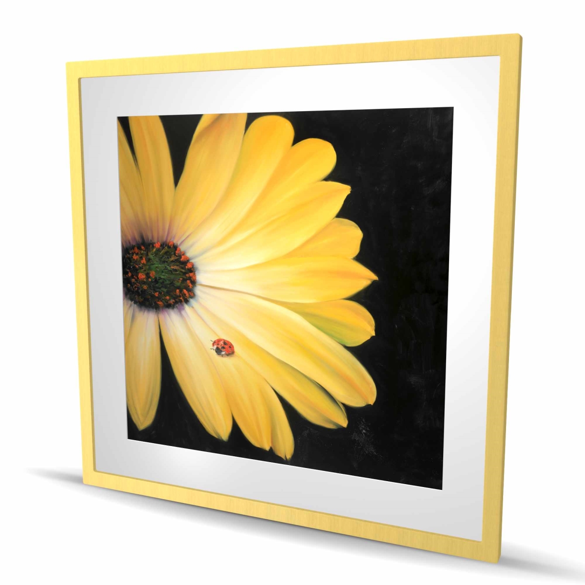 C1FM36365AFBV3 36 x 36 in. Yellow Daisy & Ladybug - Framed Matted Floral Print