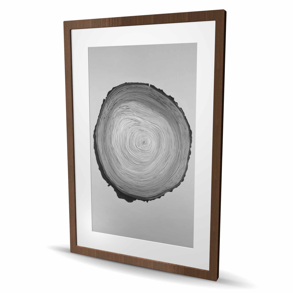 C1FM2436QF6KET 24 x 36 in. Grayscale Round Wood Log - Framed Matted Still Life Print