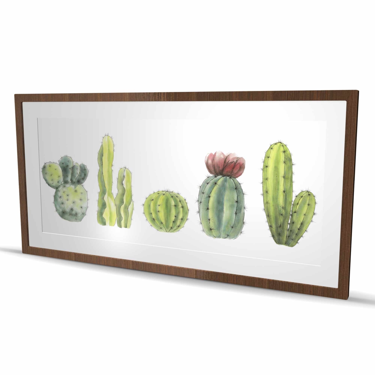 C1FM24482KR8R5 24 x 48 in. Tiny Cactus Set - Illustrative Framed Matted Print for Decor