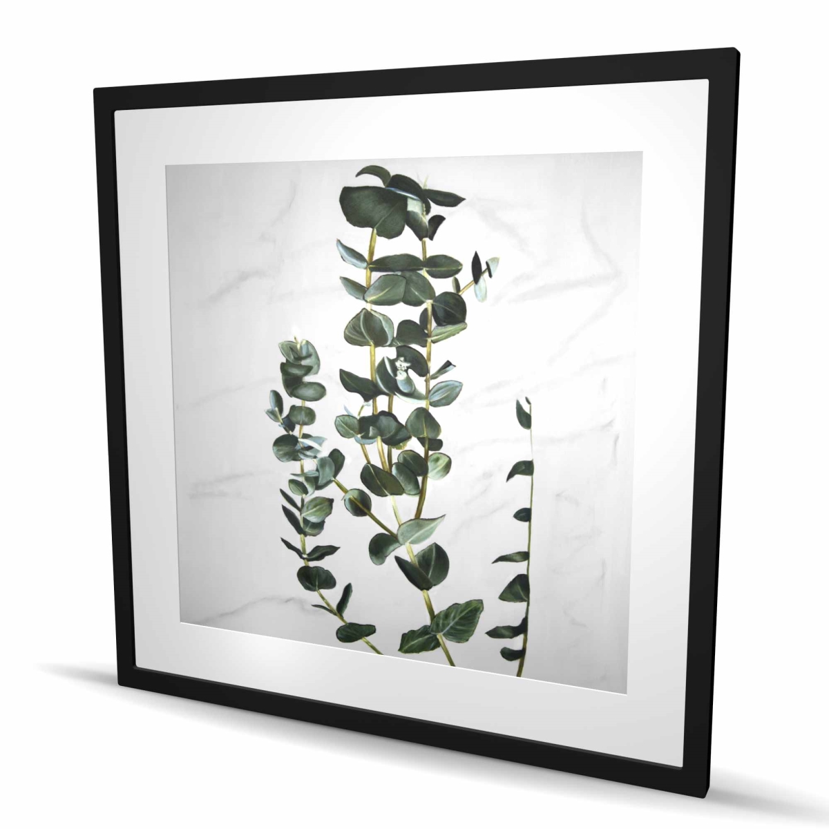 C1FM3636KN9I9W 36 x 36 in. Eucalyptus Stems - Green Kitchen Framed Matted Print Decor