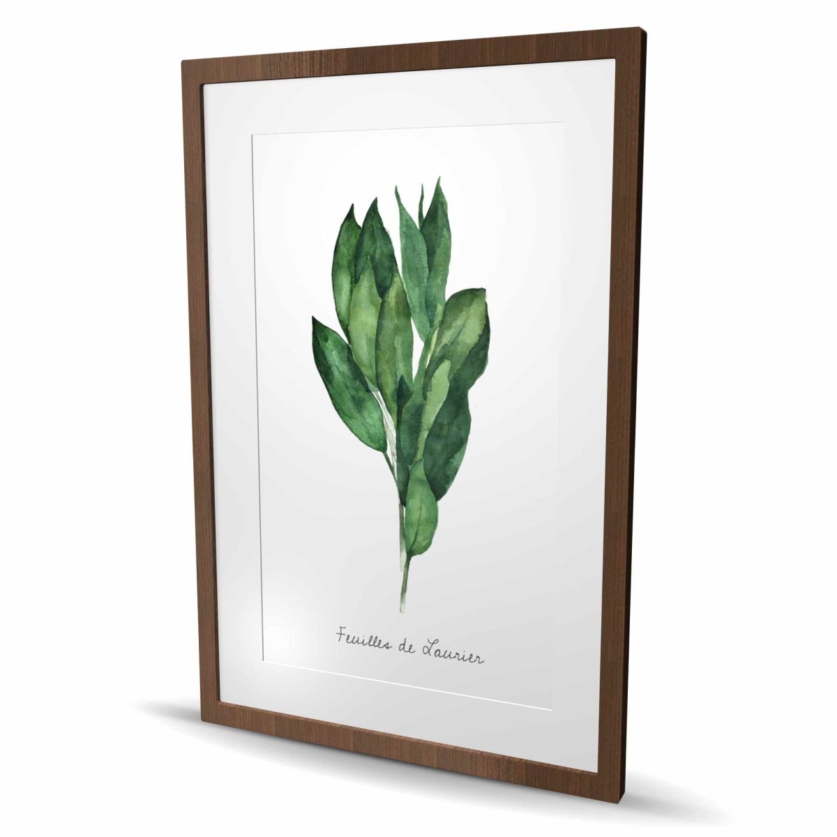C1FM2436MEYIFW 24 x 36 in. Bay Leaves Bundle - Framed Matted Print for Home Decor