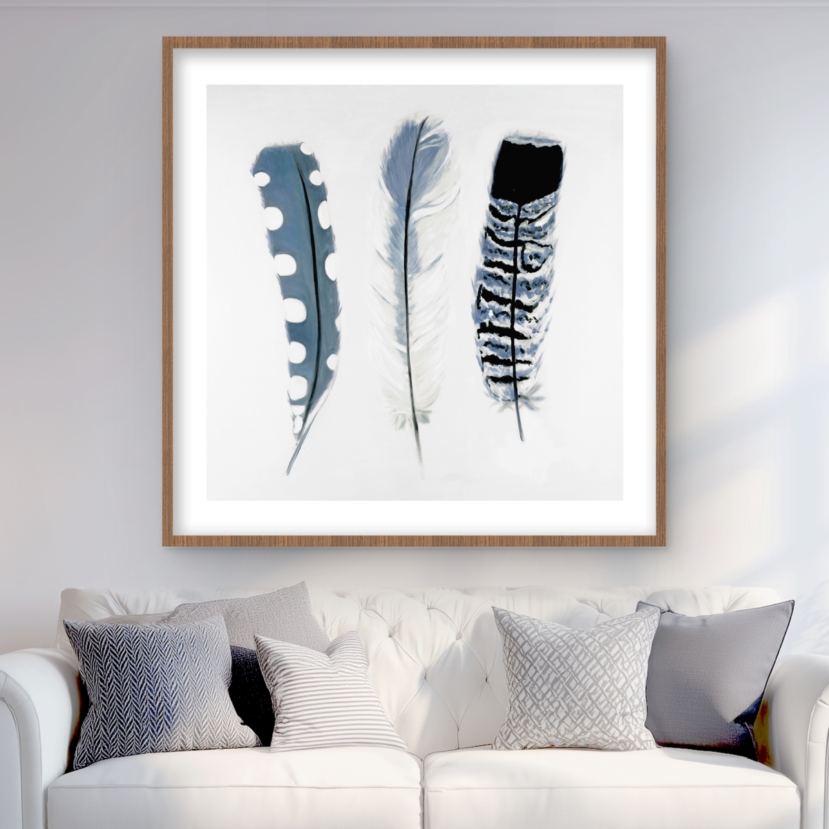 C1FM3636XARC23 36 x 36 in. Delicate Blue Feathers - Framed Matted Print for Home Decor