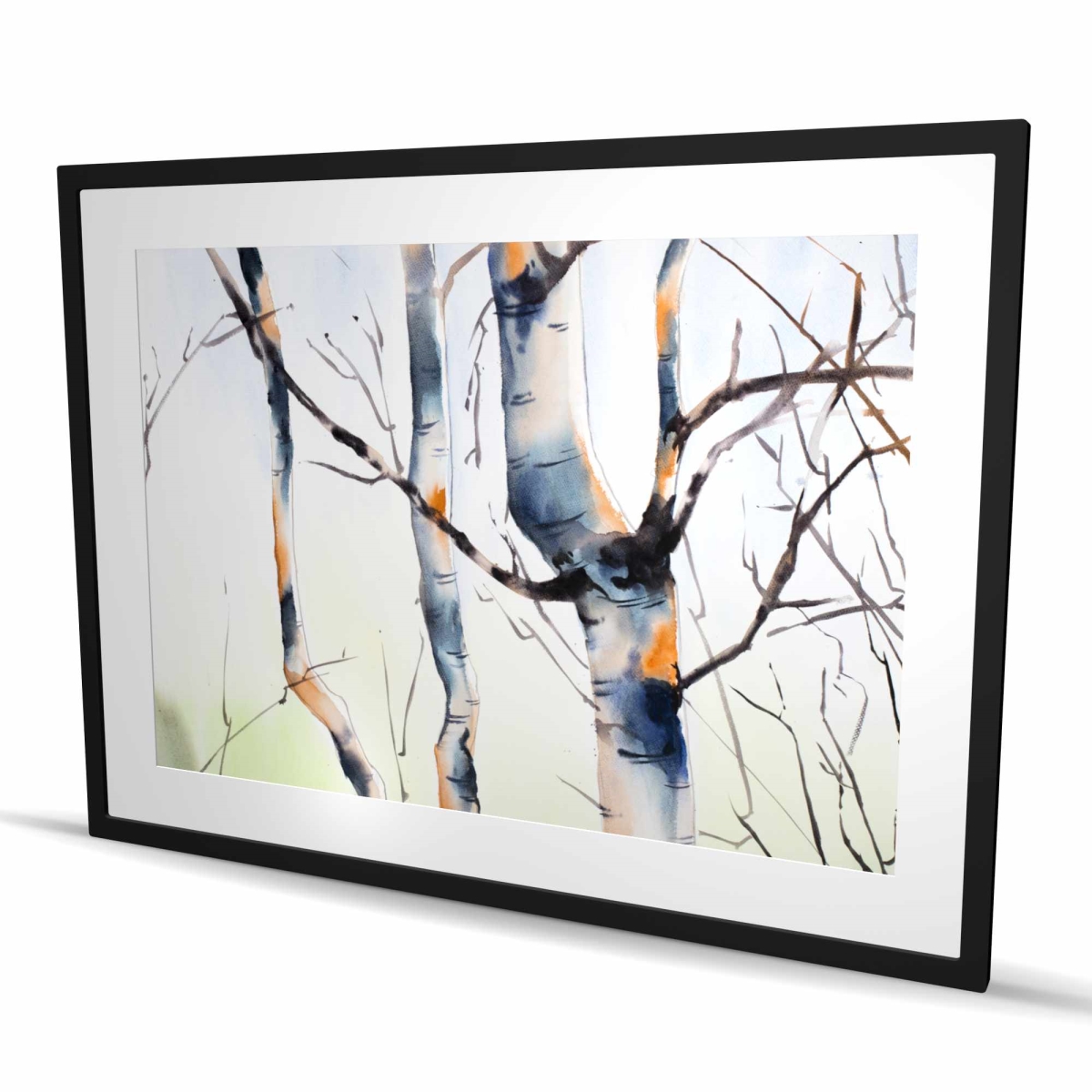 C1FM36482BDLWO 36 x 48 in. Three Small Birch Trees - Framed Matted Print for Home Decor