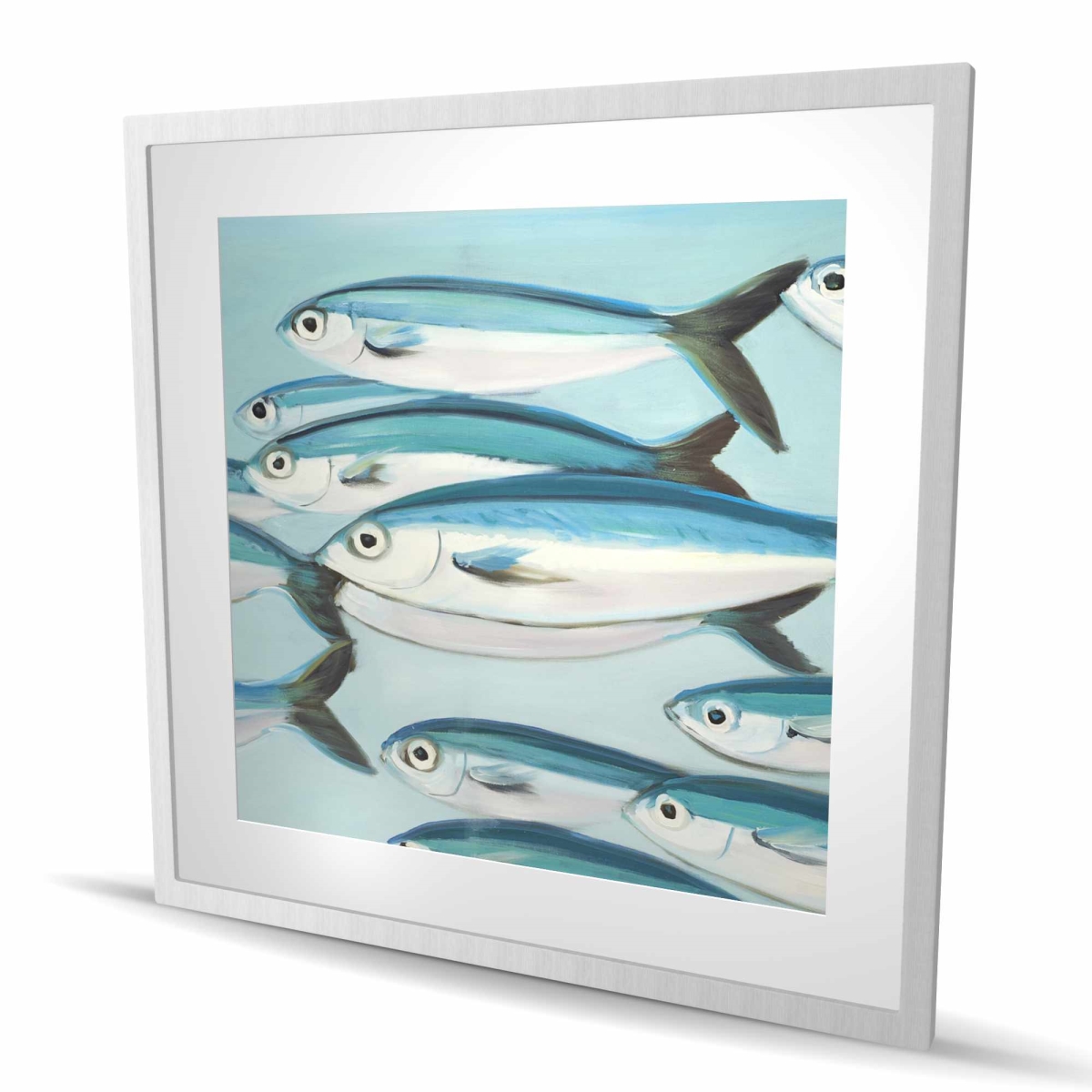 C1FM3636J9WX9F 36 x 36 in. Caesio Caerulaurea Small Fish Print - Turquoise Framed Art