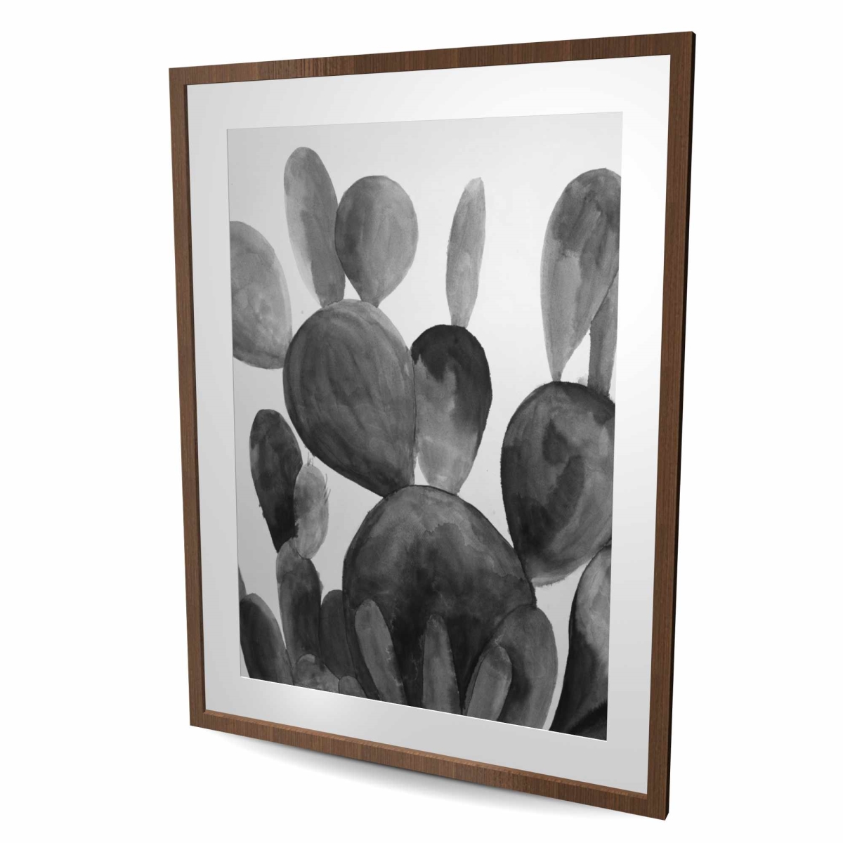 C1FM3648571AG0 36 x 48 in. Grayscale Paddle Cactus Plant - Black & White Framed Print