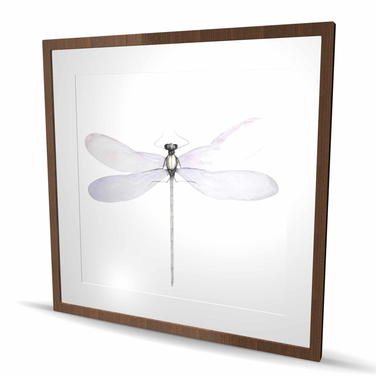 C1FM3636ILZZ4R 36 x 36 in. Delicate Dragonfly - Gray Minimalist Framed Matted Print