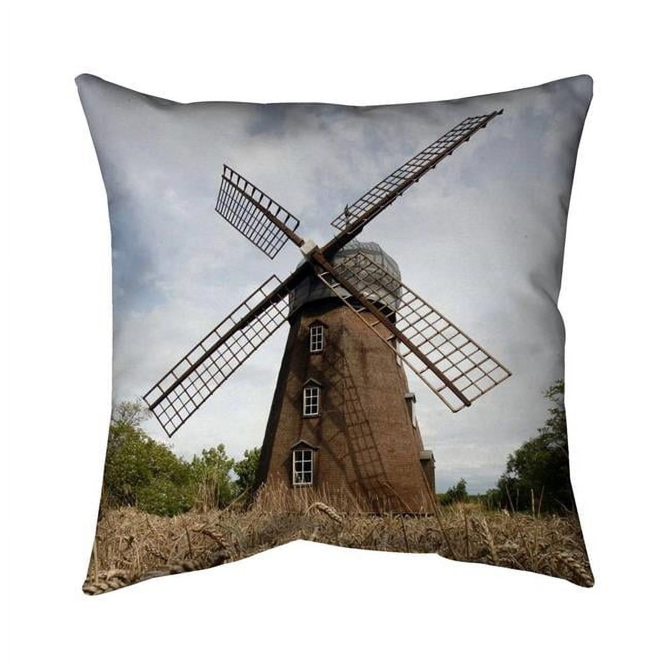 20 x 20 in. Windmill-Double Sided Print Outdoor Pillow Cover