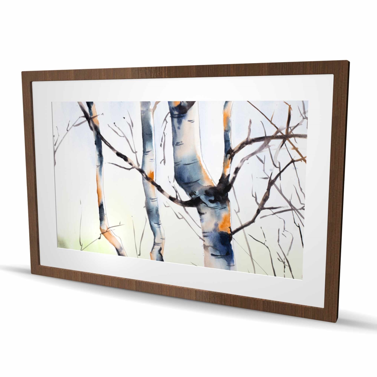 C1FM2436QII70W 24 x 36 in. Three Small Birch Trees - Framed Matted Print for Home Decor