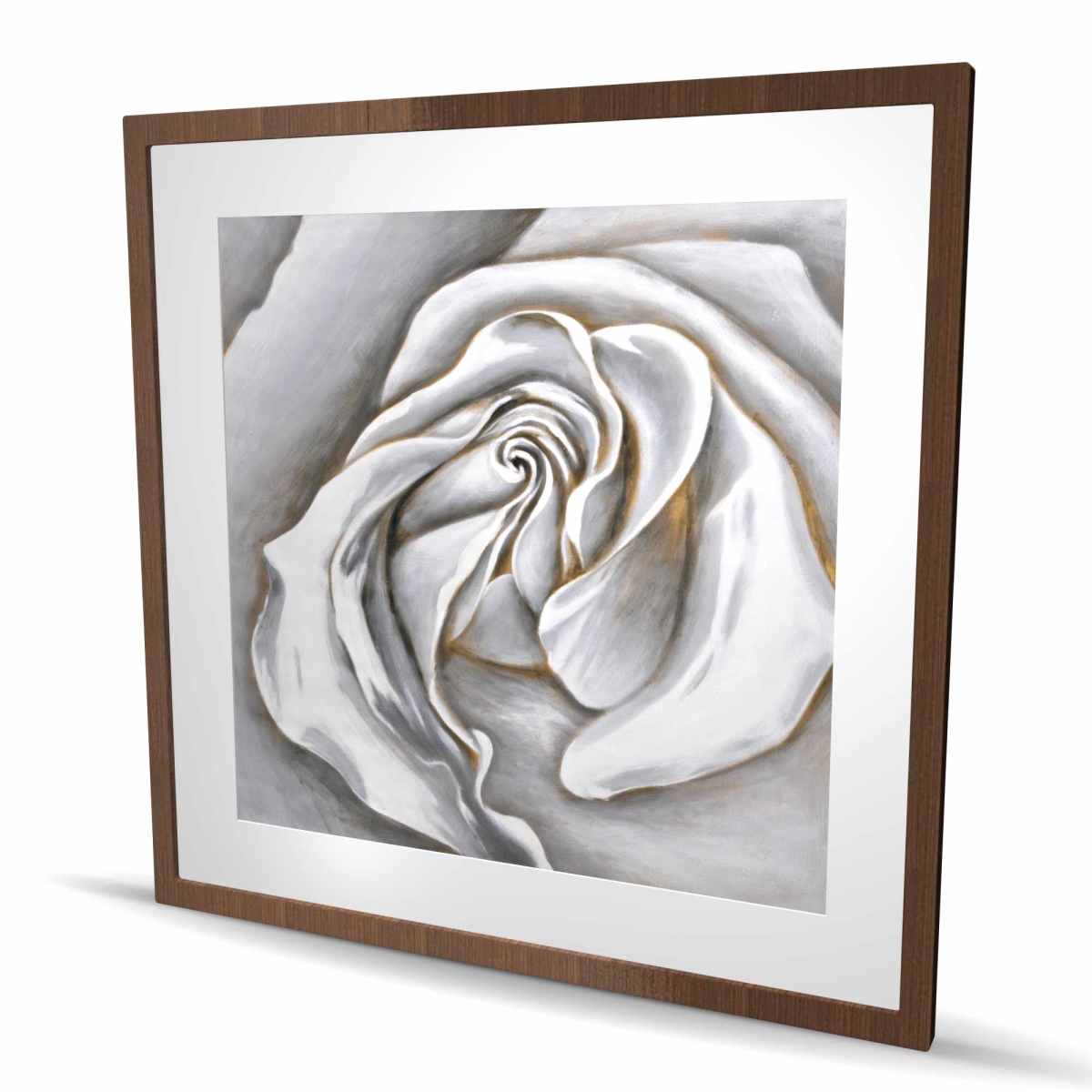 C1FM3636F9LC4P 36 x 36 in. White Rose Delicate - Framed Matted Print for Bathroom Decor