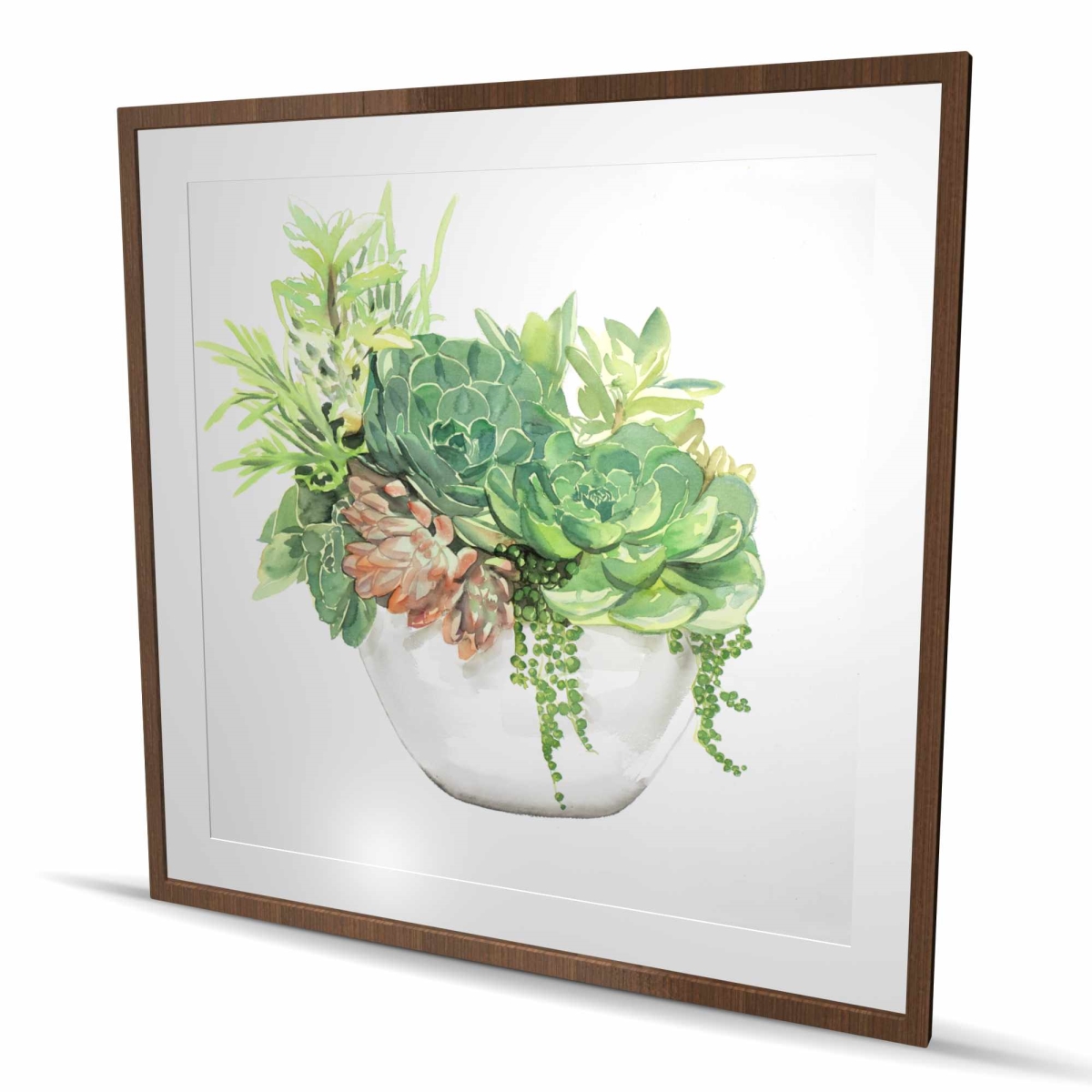 C1FM4848WHYP6S 48 x 48 in. Succulent Assortment in A Pot - Office Green Framed Print