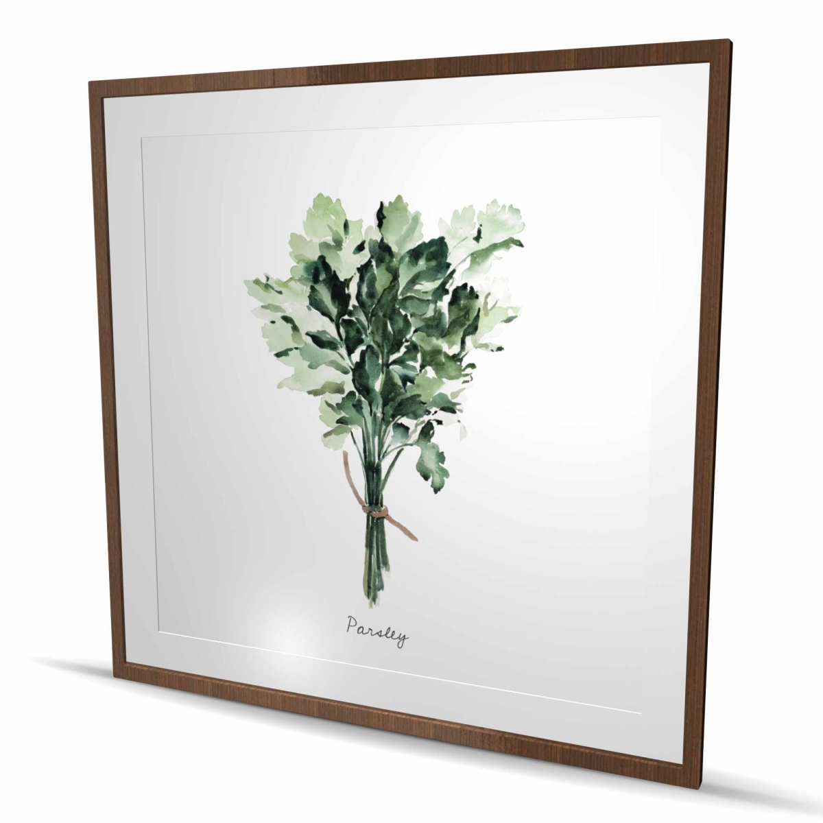C1FM4848BWUJZ7 48 x 48 in. Tied Up Persil Bundle - Leaves White Framed Matted Print