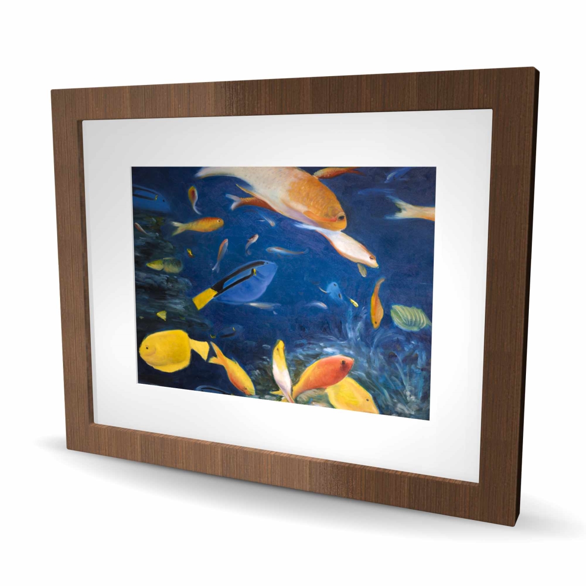 C1FM1620TYY0A9 16 x 20 in. Colorful Fish Under the Sea - Classic Blue Framed Print