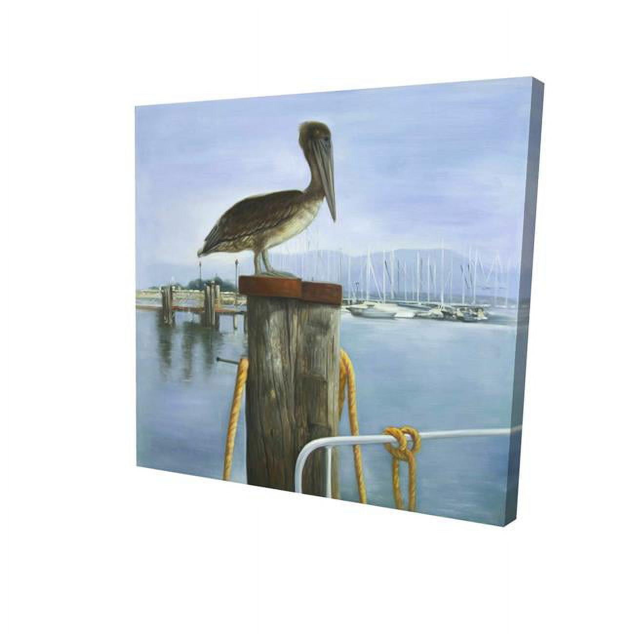 16 x 16 in. Pelican-Print on Canvas