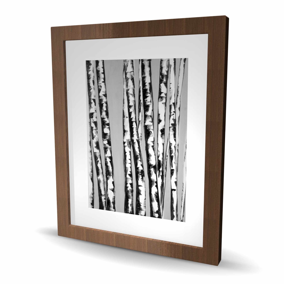 C1FM1620FL3XMM 16 x 20 in. Birches Intersecting - Black Trees Framed Matted Print Decor
