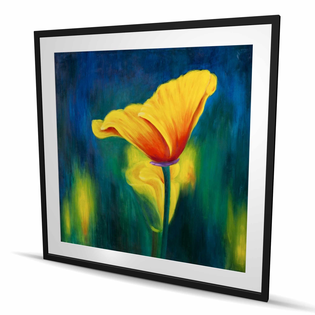 C1FM4848QLWZU9 48 x 48 in. Superb Contrast Flowers - Framed Matted Botanical Print