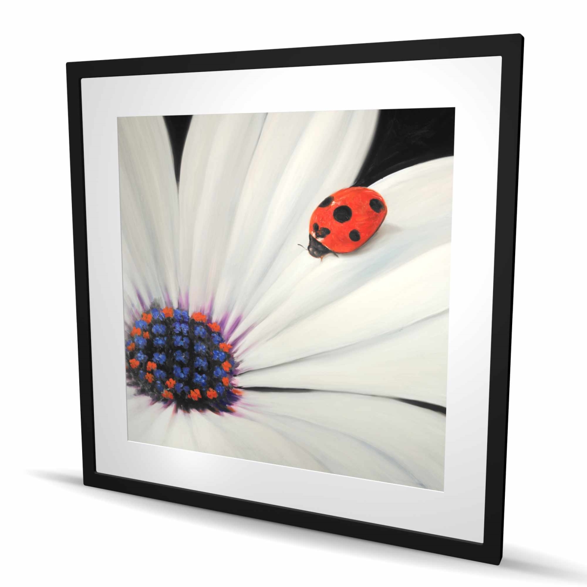 C1FM363667S0RZ 36 x 36 in. White Daisy & Ladybug - Framed Matted Print for Home Decor