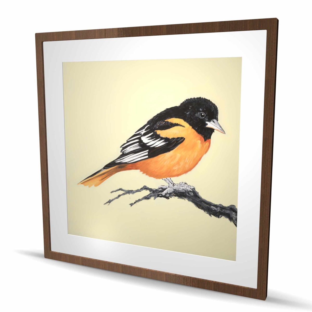 C1FM3636ZDAHPC 36 x 36 in. Realistic Little Bird on Branch - Framed Matted Print Decor