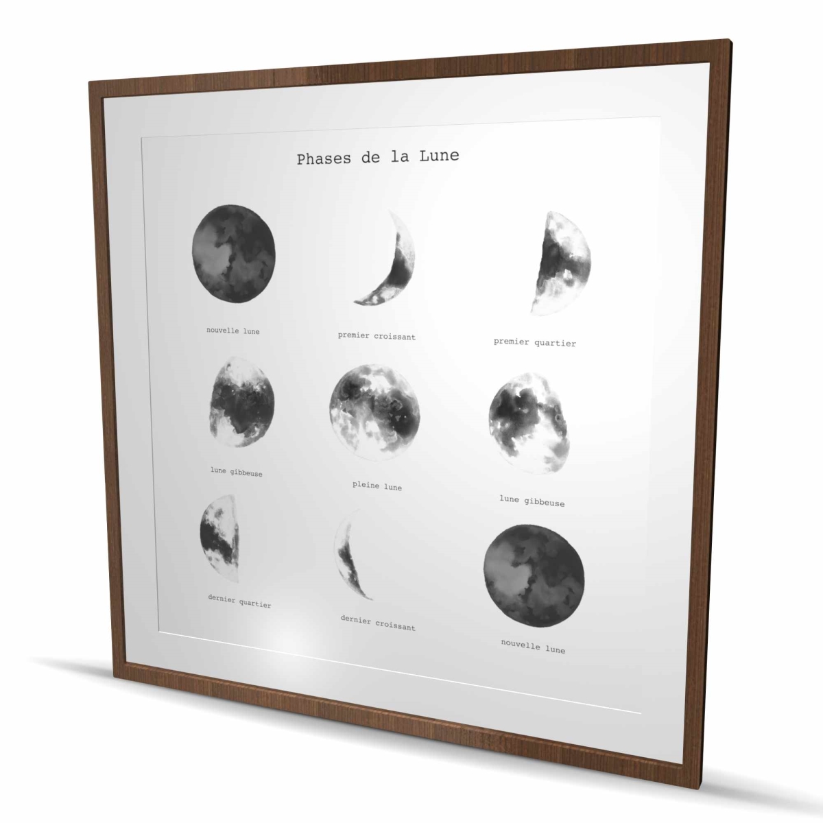 C1FM4848BOQNAQ 48 x 48 in. Phases of the Moon - Framed Matted Print for Home Decor