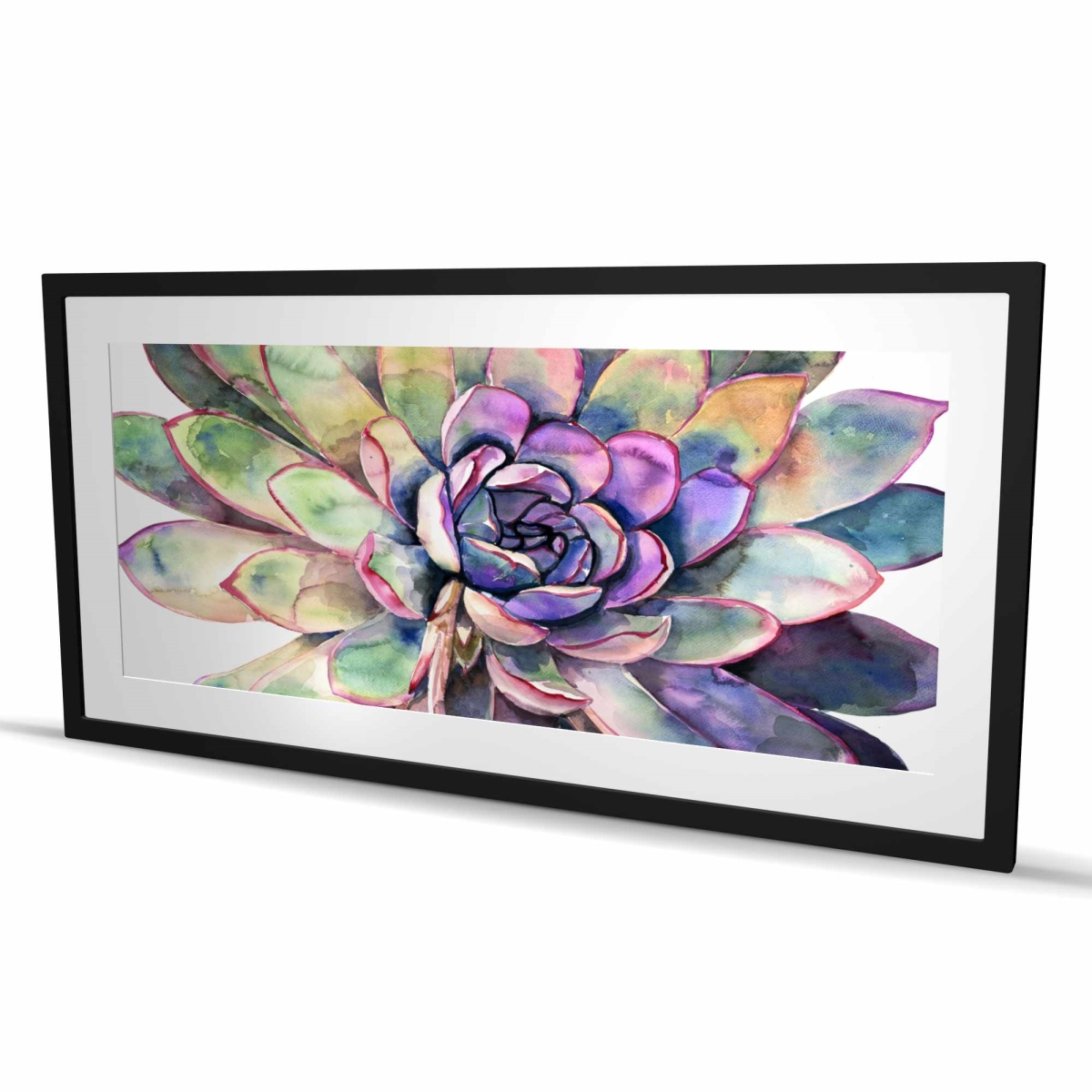 C1FM2448DXI2E1 24 x 48 in. Multicolored Succulent - Purple Exotic Framed Matted Print