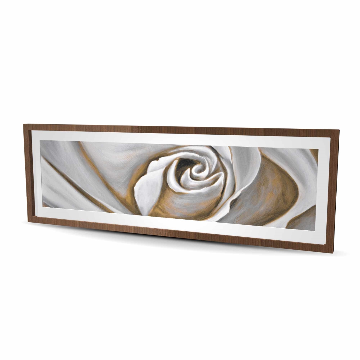C1FM2060J4WLOR 20 x 60 in. White Rose Closeup - Framed Matted Print for Home Decor