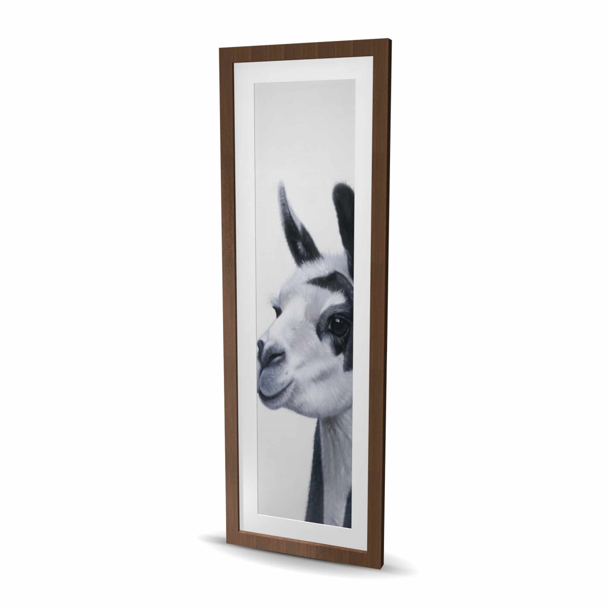 C1FM1648MN58FS 16 x 48 in. Black & White Lama - Gray Office Framed Matted Print Decor