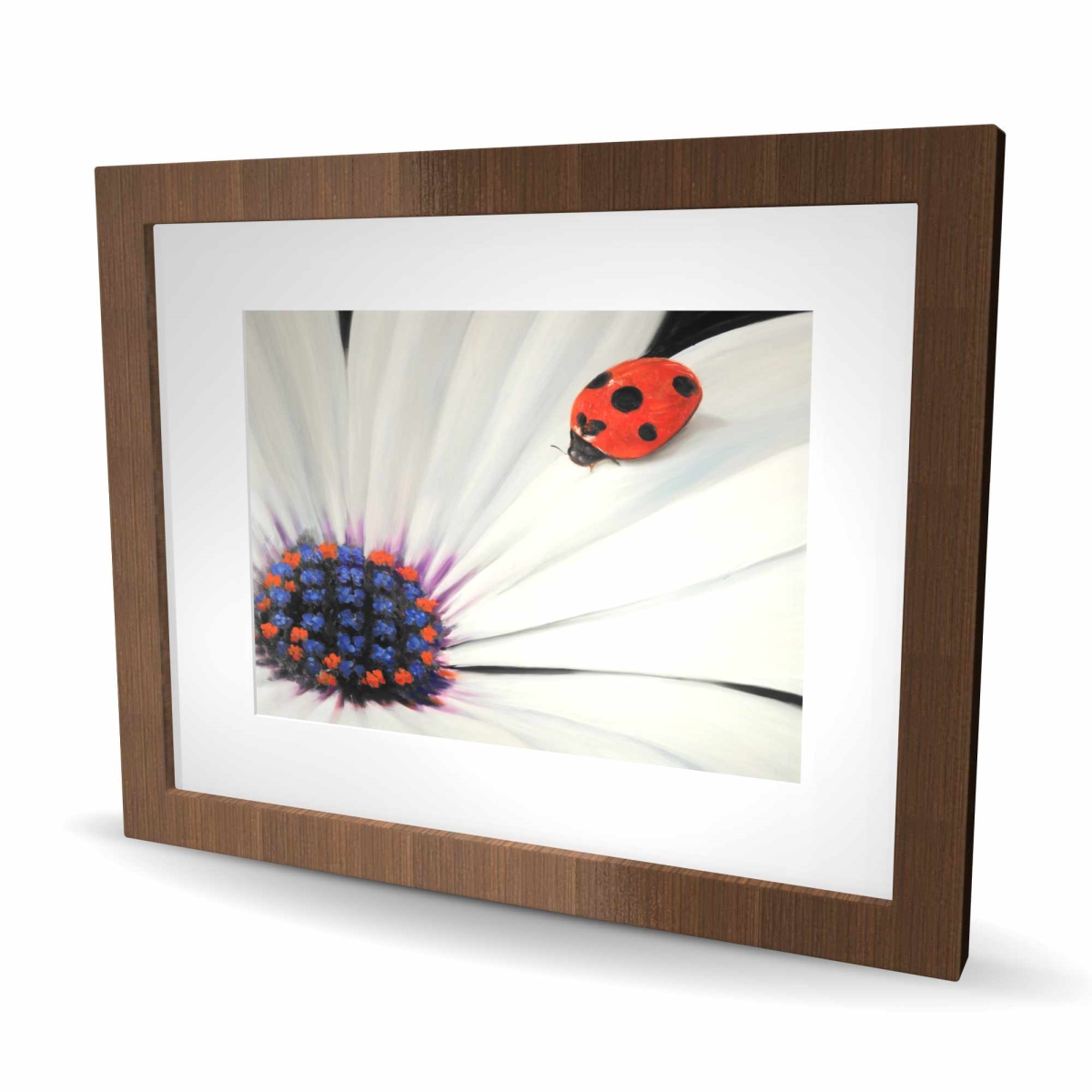 C1FM1620W0APUL 16 x 20 in. White Daisy & Ladybug - Romantic Bedroom Framed Print