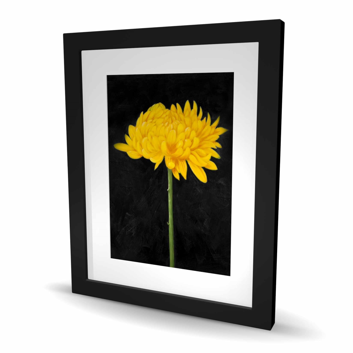C1FM1620MOJUSZ 16 x 20 in. Chrysanthemum - Rustic Framed Matted Print for Home Decor