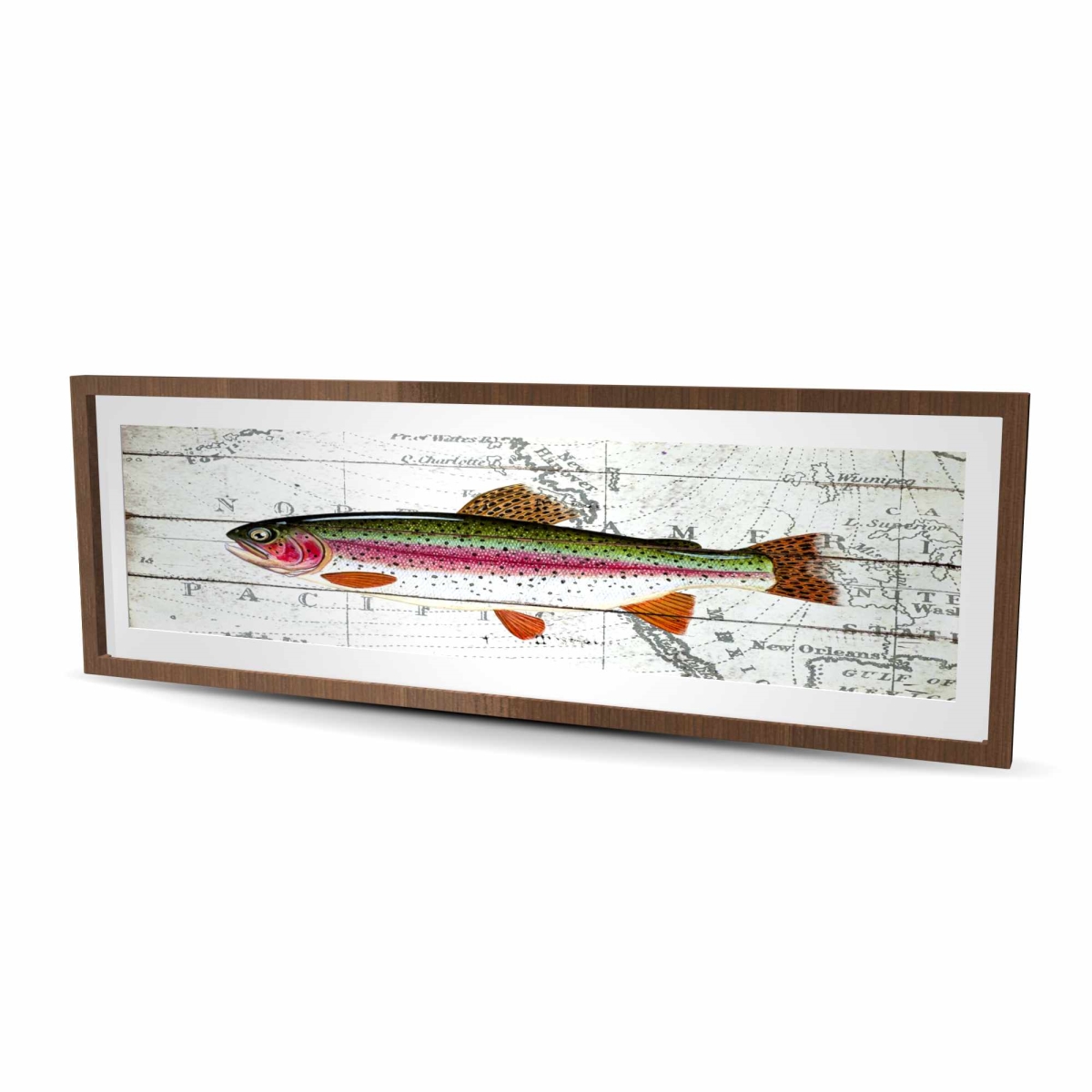 C1FM20601RDZKP 20 x 60 in. Trout on A World Map - Framed Matte Print for Home Decor
