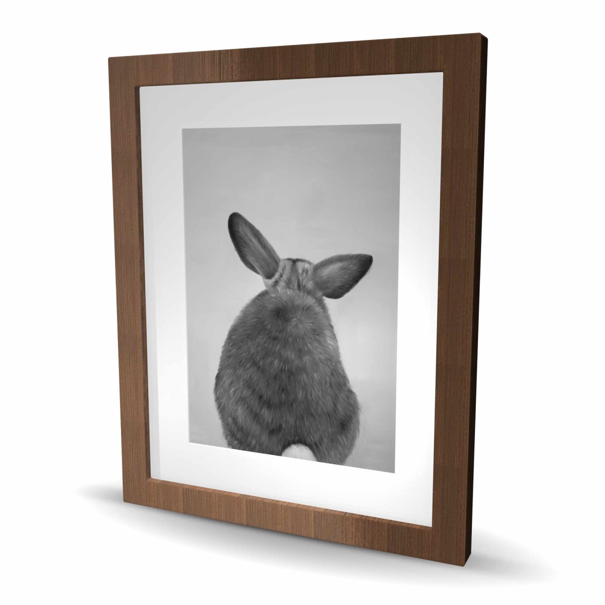 C1FM1620XC43BX 16 x 20 in. Little Rabbit From Behind - Framed Matted Print - Home Decor