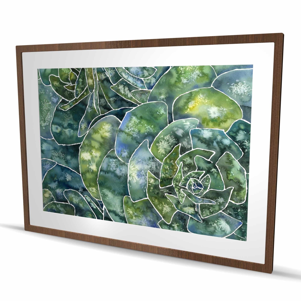 C1FM3648PW36K4 36 x 48 in. Abstract Succulents - Floral Bedroom Framed Print for Decor