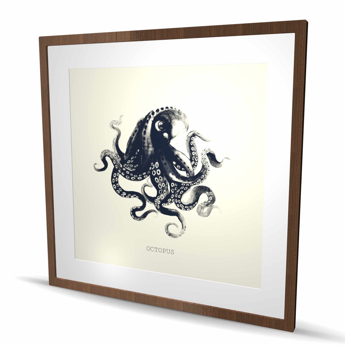 C1FM3636HAN3QL 36 x 36 in. Octopus Blue Framed Matted Print - Aquatic Home Decor