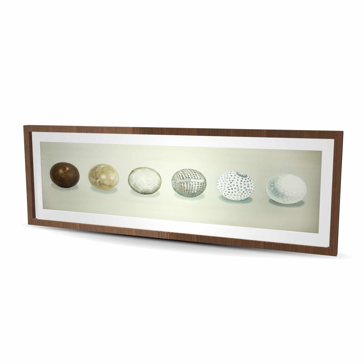 C1FM2060BFW2CE 20 x 60 in. Golf Ball Evolution - Framed Matted Print for Man Cave Decor