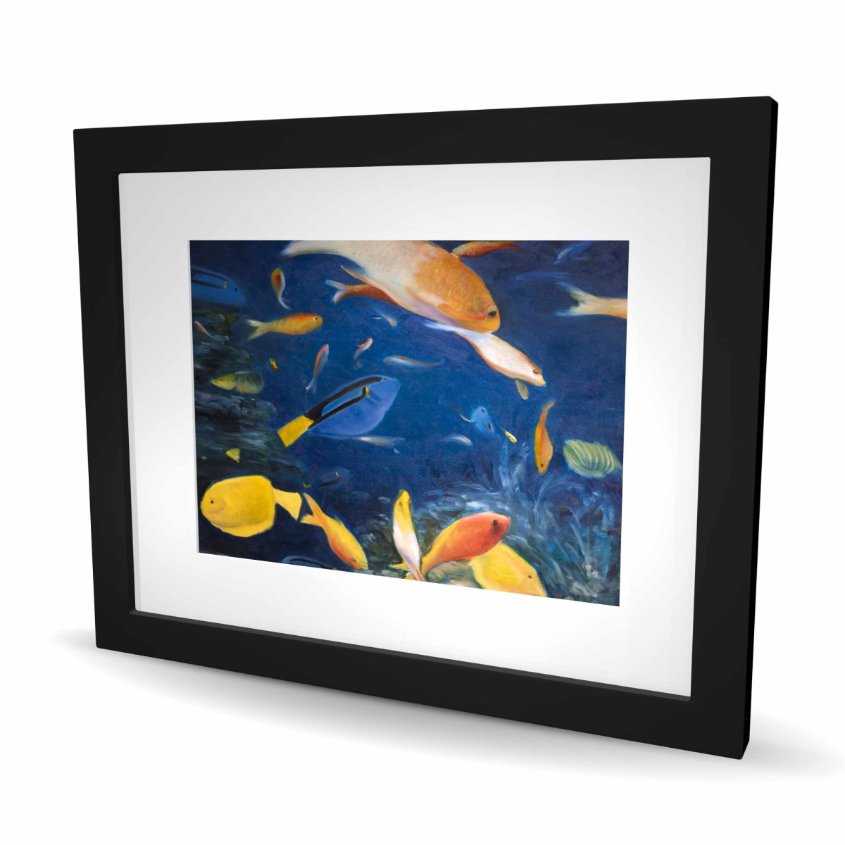 C1FM1620RRWNO1 16 x 20 in. Colorful Fish Under the Sea - Framed Matted Print for Decor