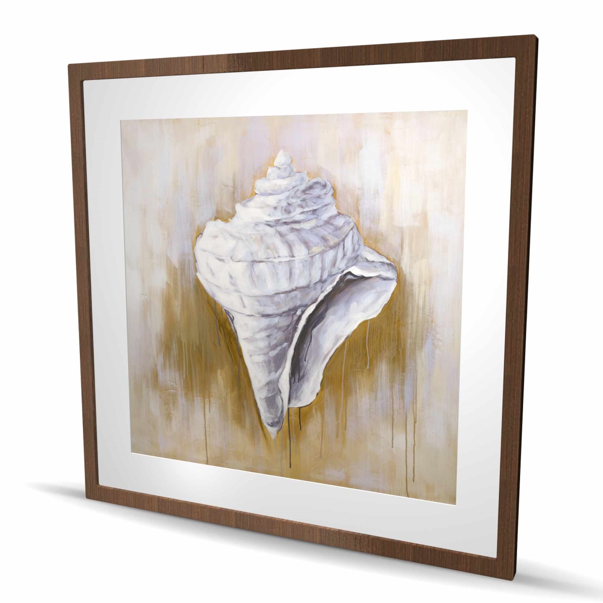 C1FM363642TPXD 36 x 36 in. Conical Shell - Still Life White Framed Matted Print - Decor